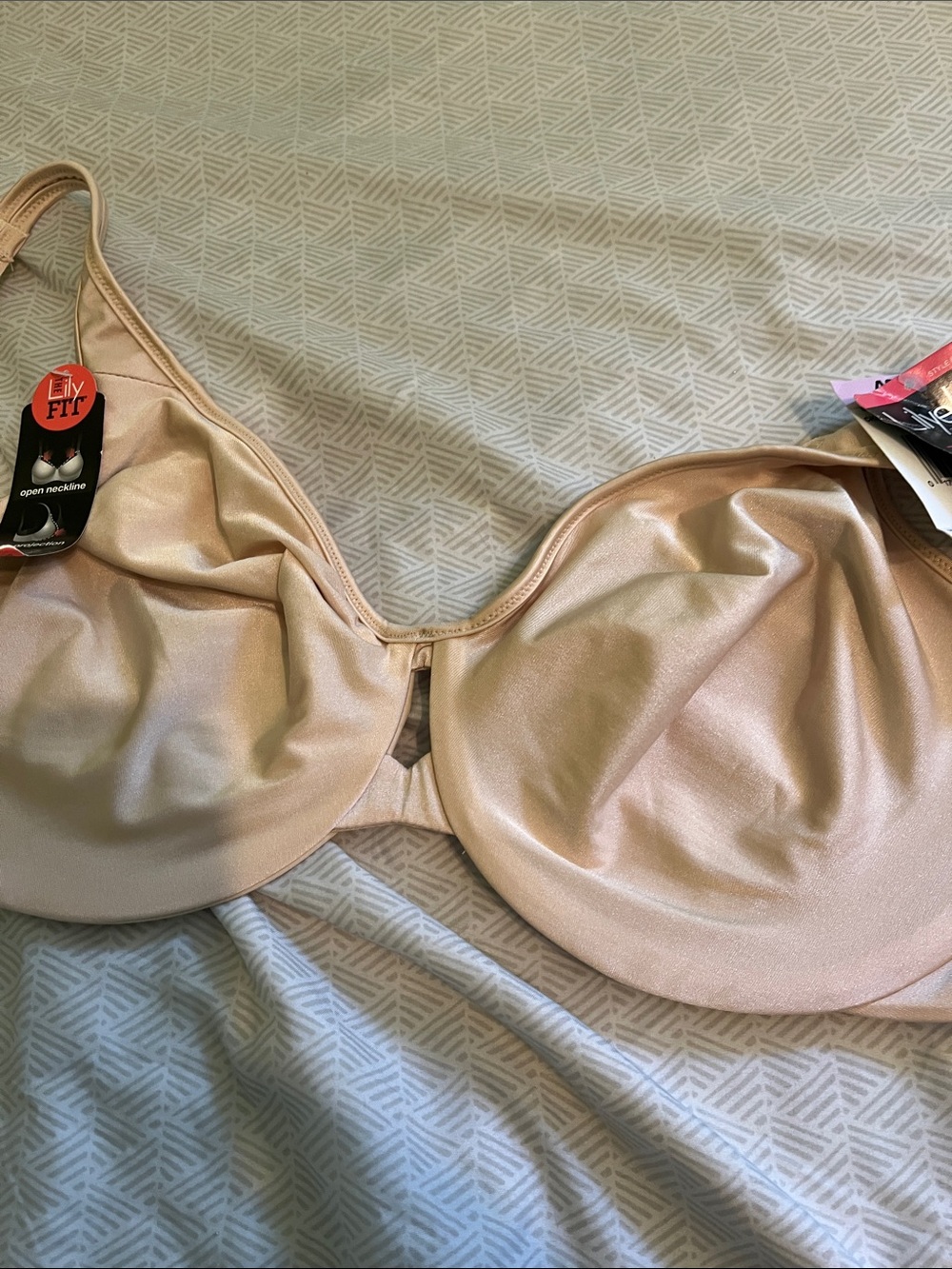 Lilyette Shimmery Light Nude Underwire Full-Coverage Bra